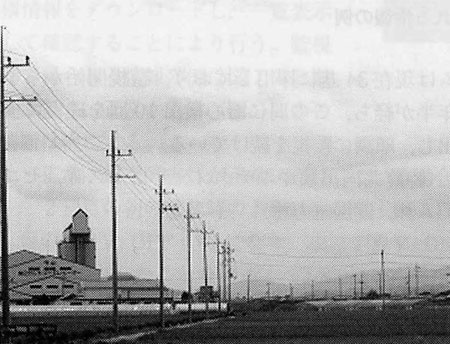 20kV 배전선용 LP애자 속류차단 아크혼의 개발