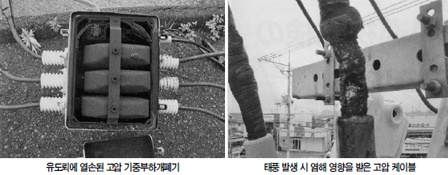 [동계 전기사고 예방 점검 포인트 ②] 자가용 전기설비별 순시 점검 포인트, 고압 기중부하개폐기 사고가 50% 이상