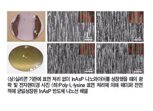 무촉매, 무패턴 나노선 대면적 합성기술 개발