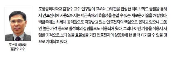 백금촉매성능향상시킨 DNA-그래핀하이브리드물질개발