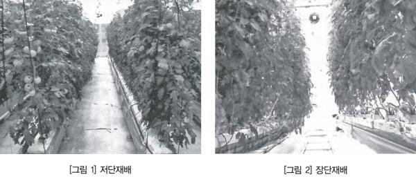 [식물공장과 전기전자정보기술 ③] 식물공장을 움직이는 로봇기술