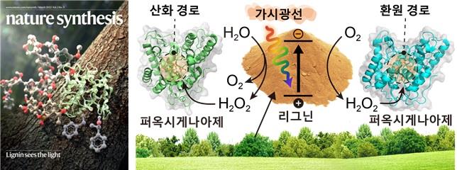 【신기술 1】 고부가가치 화합물과 에너지 생산하는 인공광합성